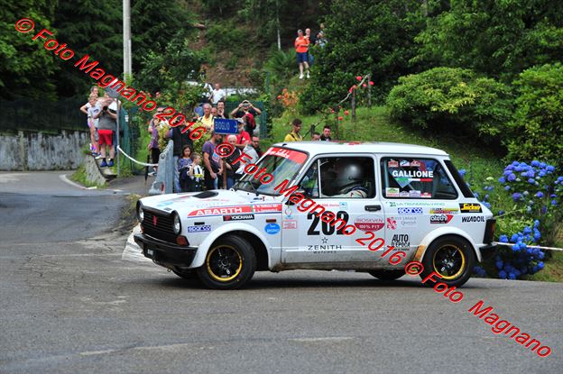 DSC_6569.JPG
